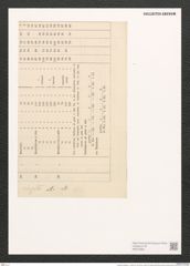 Hantzschia virgata var. ? wittii Grun. (de-Toni-Nr.: Genus 50, Species 2208) Zeichnungen Sammlung Grunow (NHMW-BOT-W0372665)